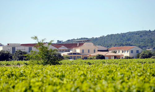 Sérignan du Comtat, Heimat guter Weine im französischen Rhonetal.